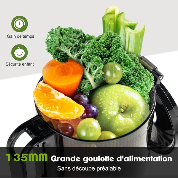 Fretta Extracteurs de Jus à Mastication Lente, Grande Goulotte d'Alimentation de 135mm pour Fruits et Légumes Entiers, Presse-agrumes Automatique Facile à Nettoyer, Sans BPA, 250W (argenté)