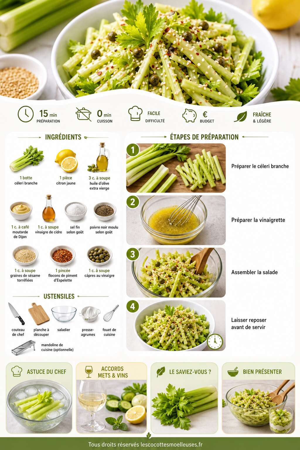 Fiche recette Recette : salade De Céleri Branche Rafraîchissante Fiche recette Recette : salade De Céleri Branche Rafraîchissante