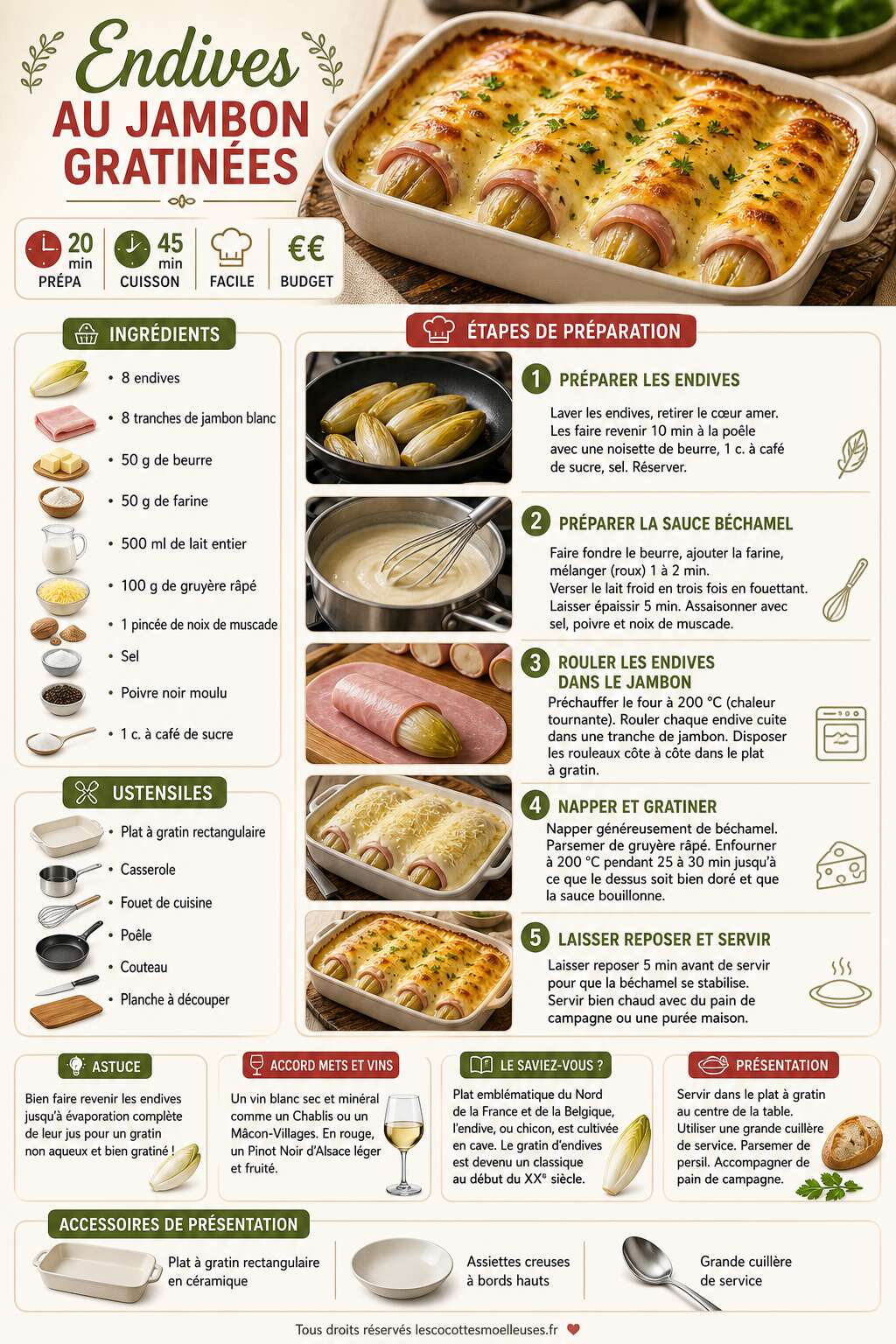 Fiche recette Recette d'Endives au Jambon Gratinées Fiche recette Recette d'Endives au Jambon Gratinées